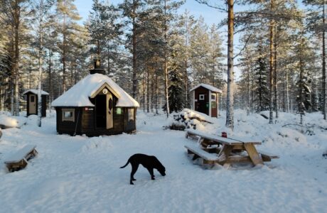 KEVÄÄN 2025 HINNAT PYSYVÄT SAMOINA JA VARAUSKALENTERIT JULKAISTU 31.3.2025 ASTI