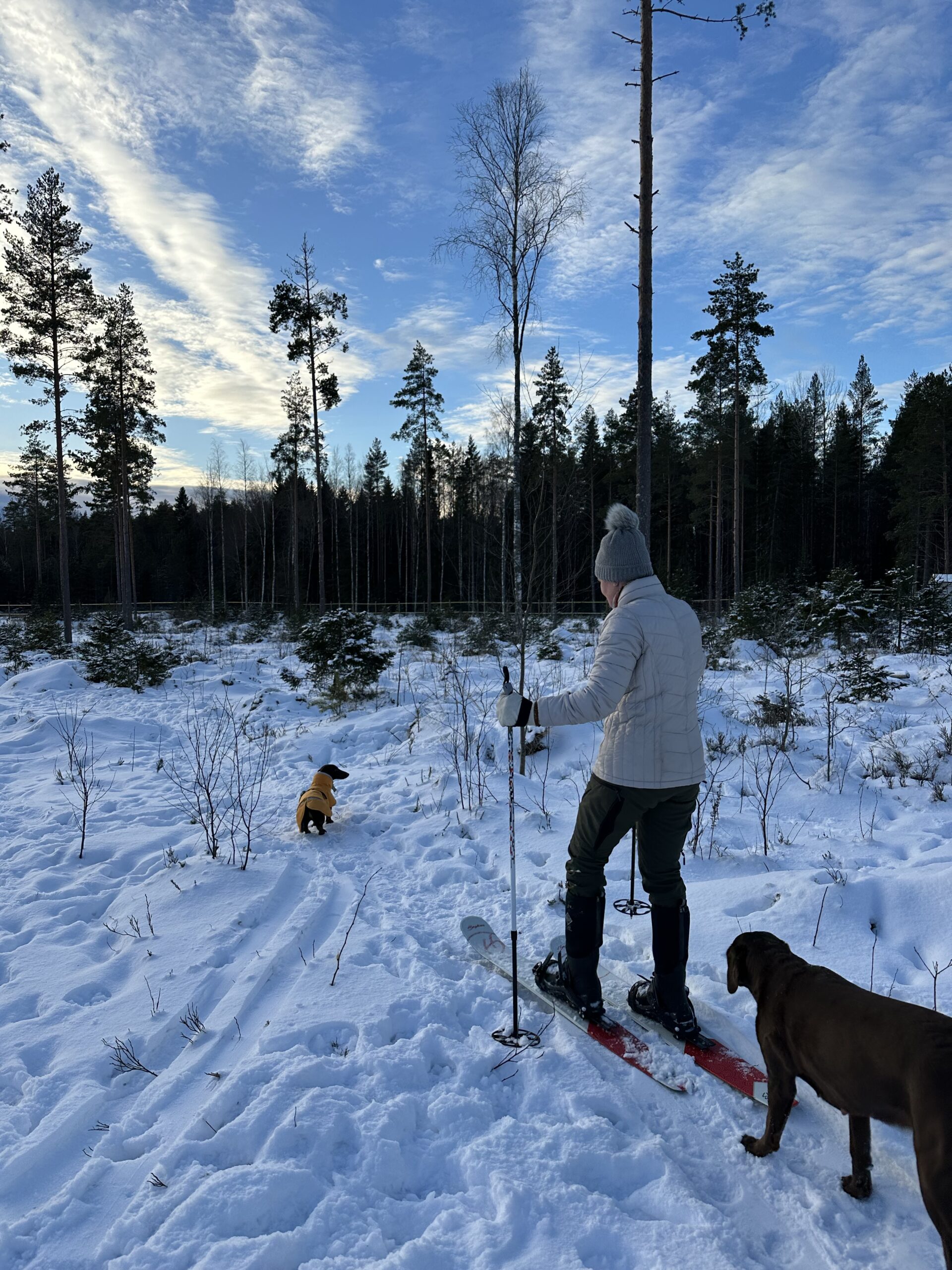 HYÖDYNNÄ LIIKUNTAETUJASI