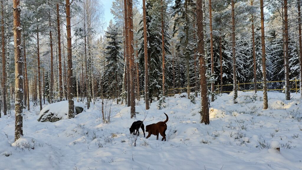VUODEN 2026 VARAUSKALENTERIT JULKAISTU JA HINNAT PYSYVÄT SAMOINA