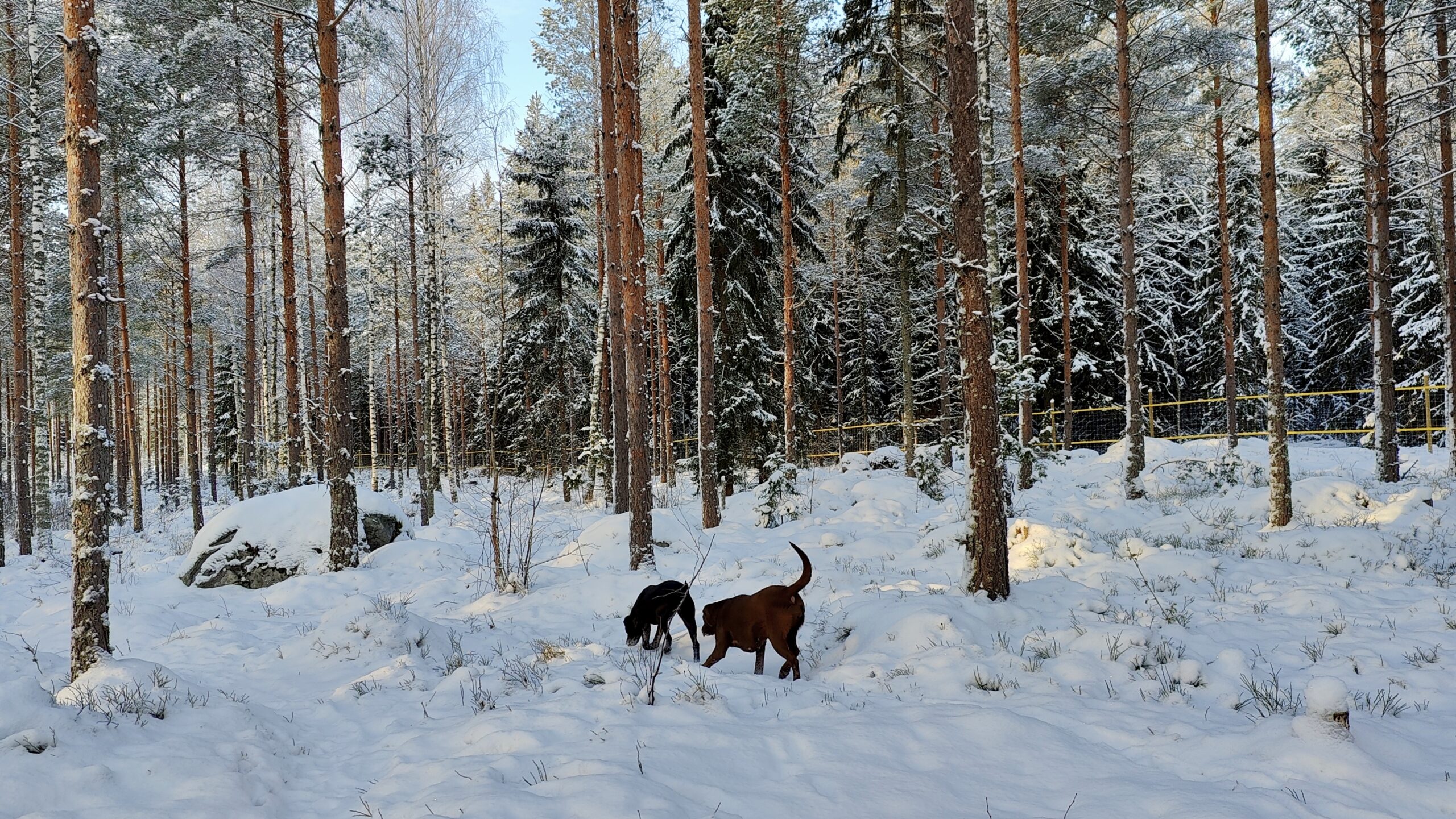 VUODEN 2026 VARAUSKALENTERIT JULKAISTU JA HINNAT PYSYVÄT SAMOINA