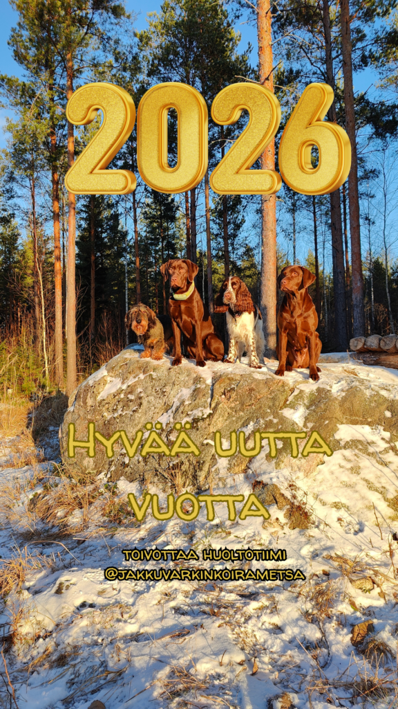 HYVÄÄ UUTTA VUOTTA 2026