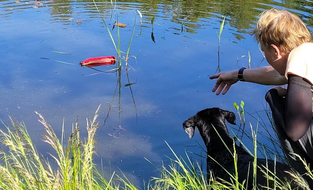 JAKKUVÄRKIN KOIRAMETSÄ AVAA UUDEN PALVELUN