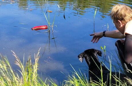 JAKKUVÄRKIN KOIRAMETSÄ AVAA UUDEN PALVELUN