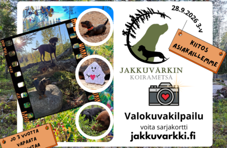 3-VUOTIS SYNTTÄRI KILPAILU SOMESSA – VOITA SARJAKORTTI