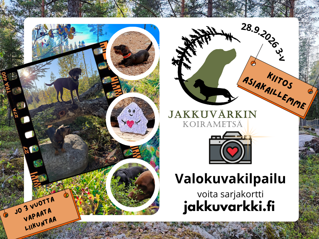 3-VUOTIS SYNTTÄRI KILPAILU SOMESSA – VOITA SARJAKORTTI